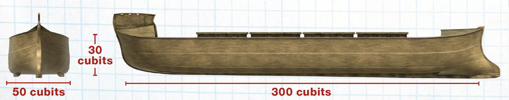 Ark dimensions