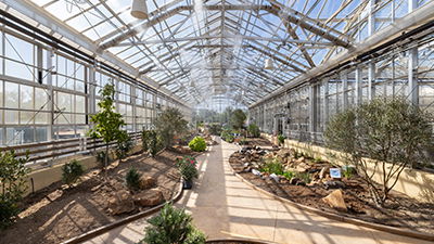 The Creation Museum’s Conservatory Is Bringing the World of the Bible to Life