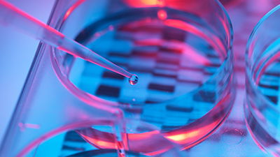 Biblical Boundaries for Human Gene Editing