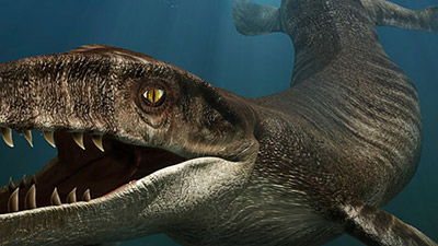 Prey Before Eating