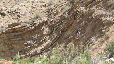 Folded Rock Layers