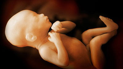 Sanctity of Life