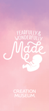 Fearfully & Wonderfully Made Pamphlet: PDF